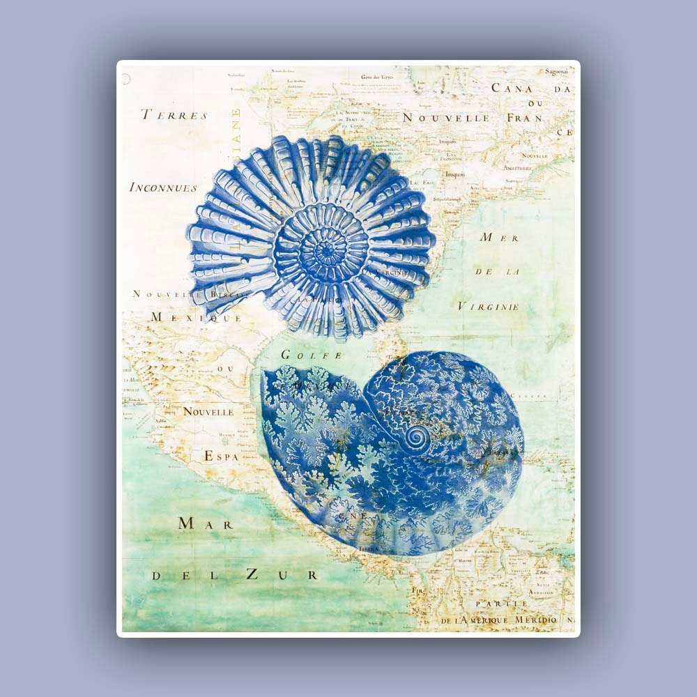 Ammonite Print  in blue, old map,  Marine Wall Decor,  Nautical art, Coastal Decor