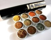 the grill guru master kit - magnetic gift set of 12 - all the BBQ favorites in one sweet kit - the perfect gift for him.