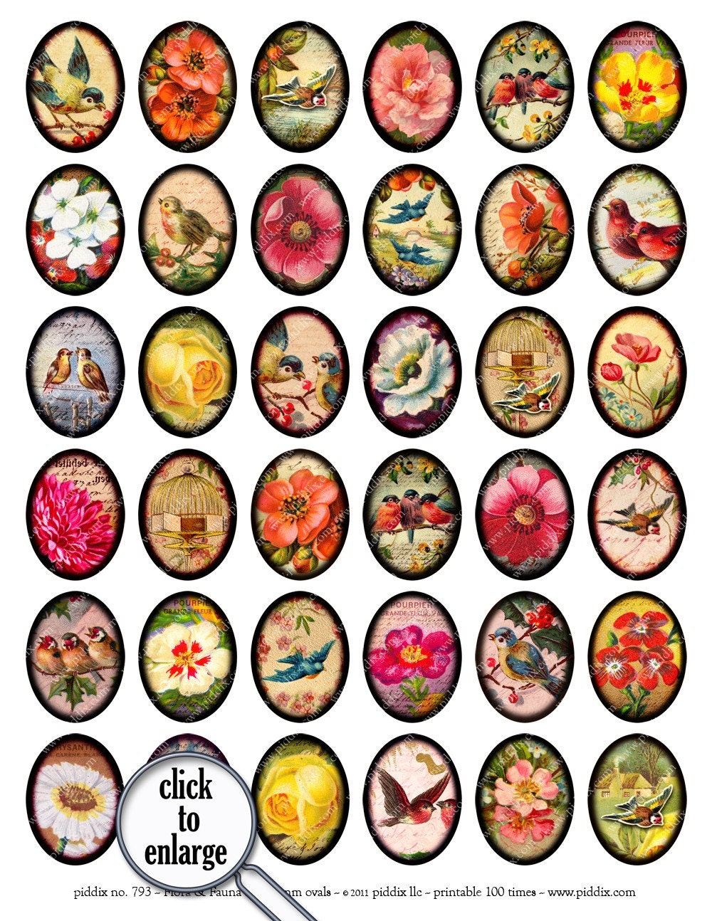 Flora and Fauna ovals collage sheet in 30 x 40 mm -- piddix no. 793