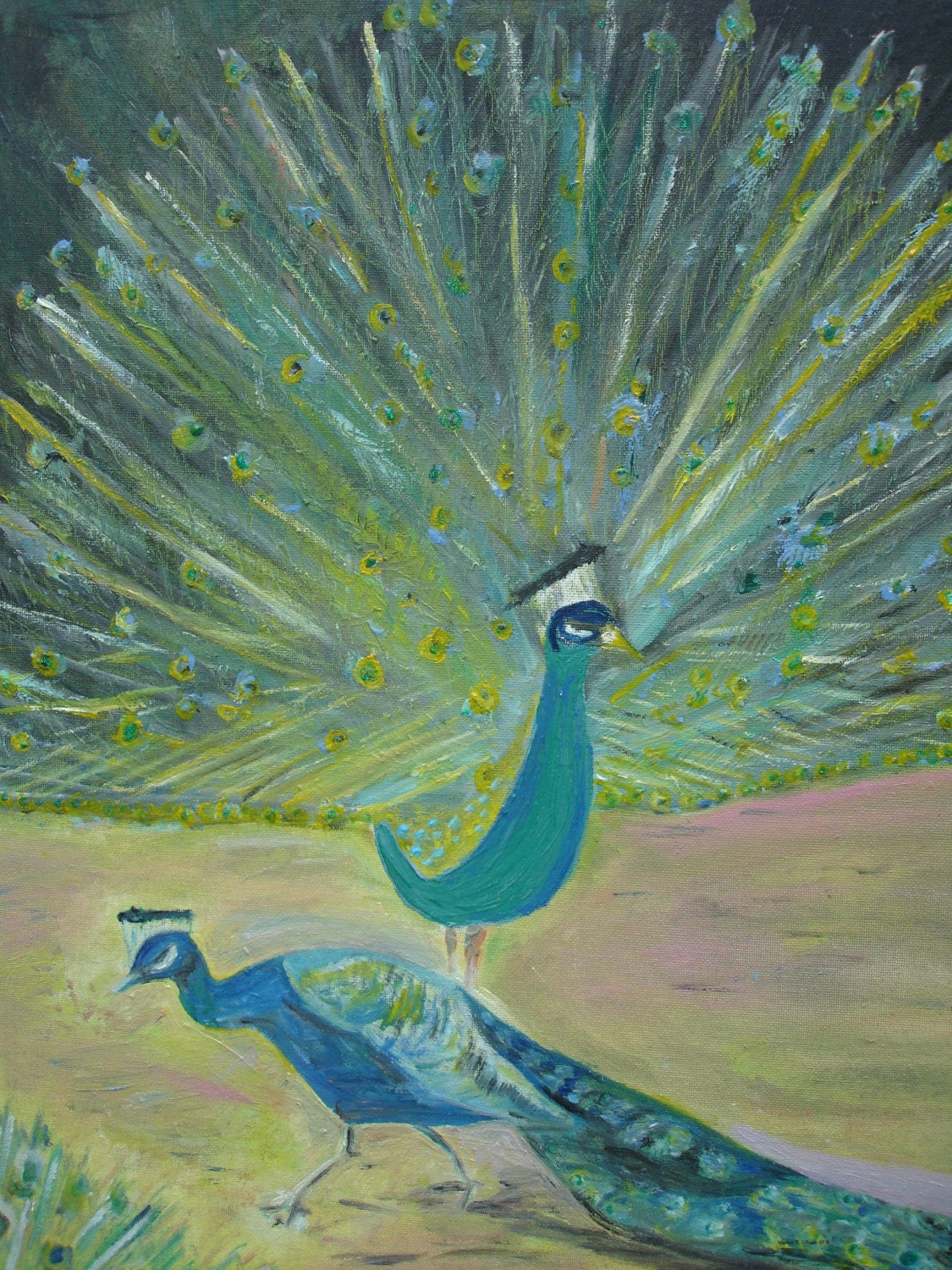 2 Peacock Greeting Cards  with Envelopes Uncluded (3 x 5)