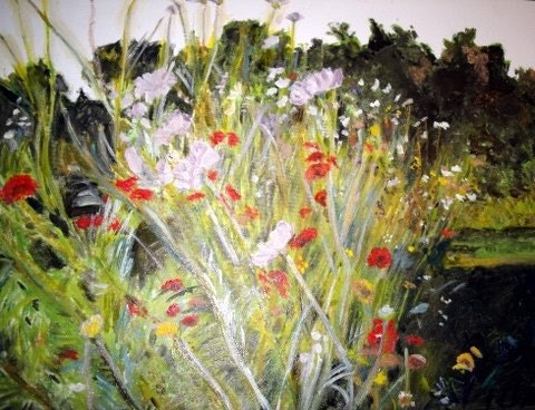 1 Wild Flowers  In Troy Gardens in Madison, Wisconsin Print  (17 x  11)