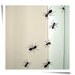 Ants Surface Graphic