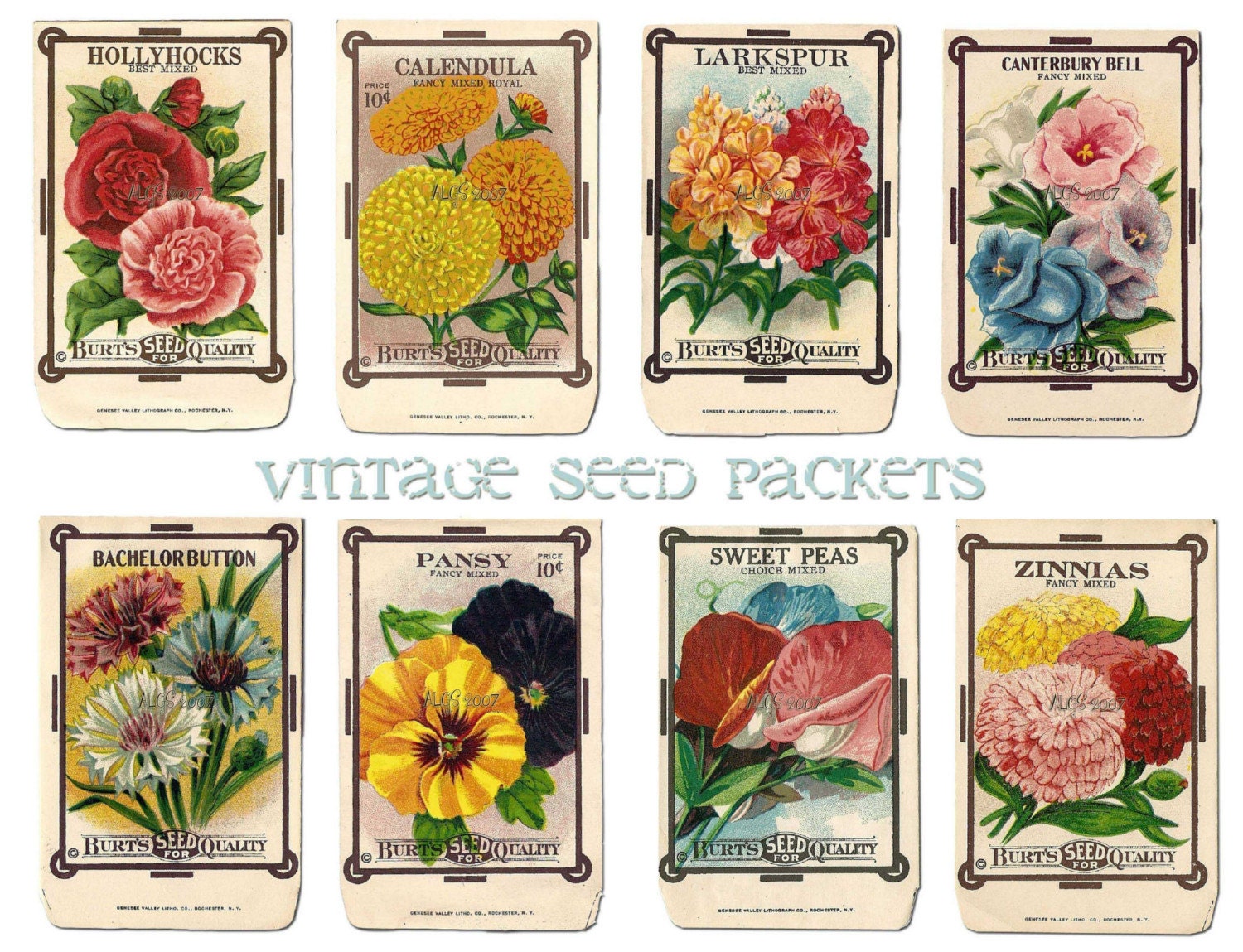 clipart vintage seed packets - photo #22
