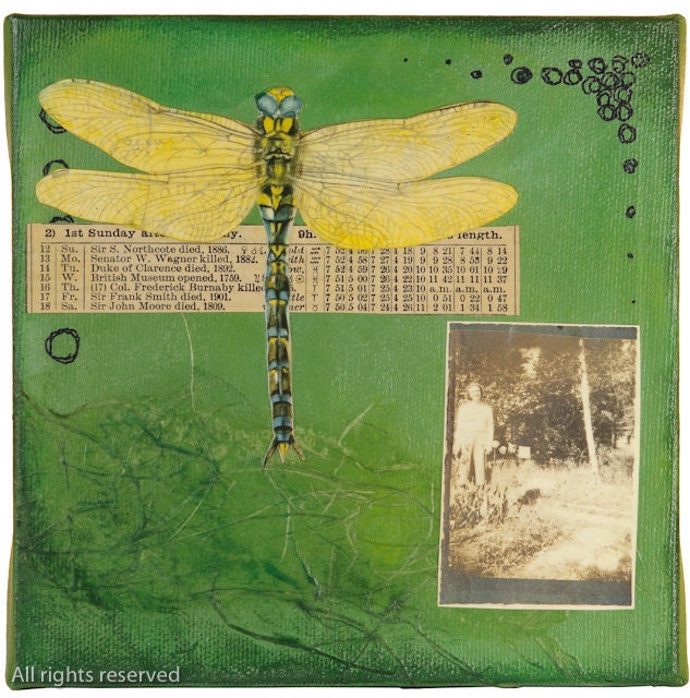 Limited Edition 8.5 X 11 Fine Art Print.-Dragonfly