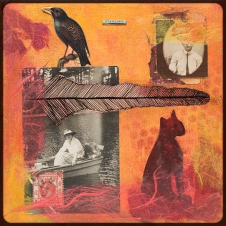 Starling - Limited Edition Fine Art Print - 8 x 10