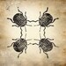 6x6 Insect Print - Colorado Beetle