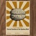 Eternal Sunshine of the Spotless Mind Limited Edition Print