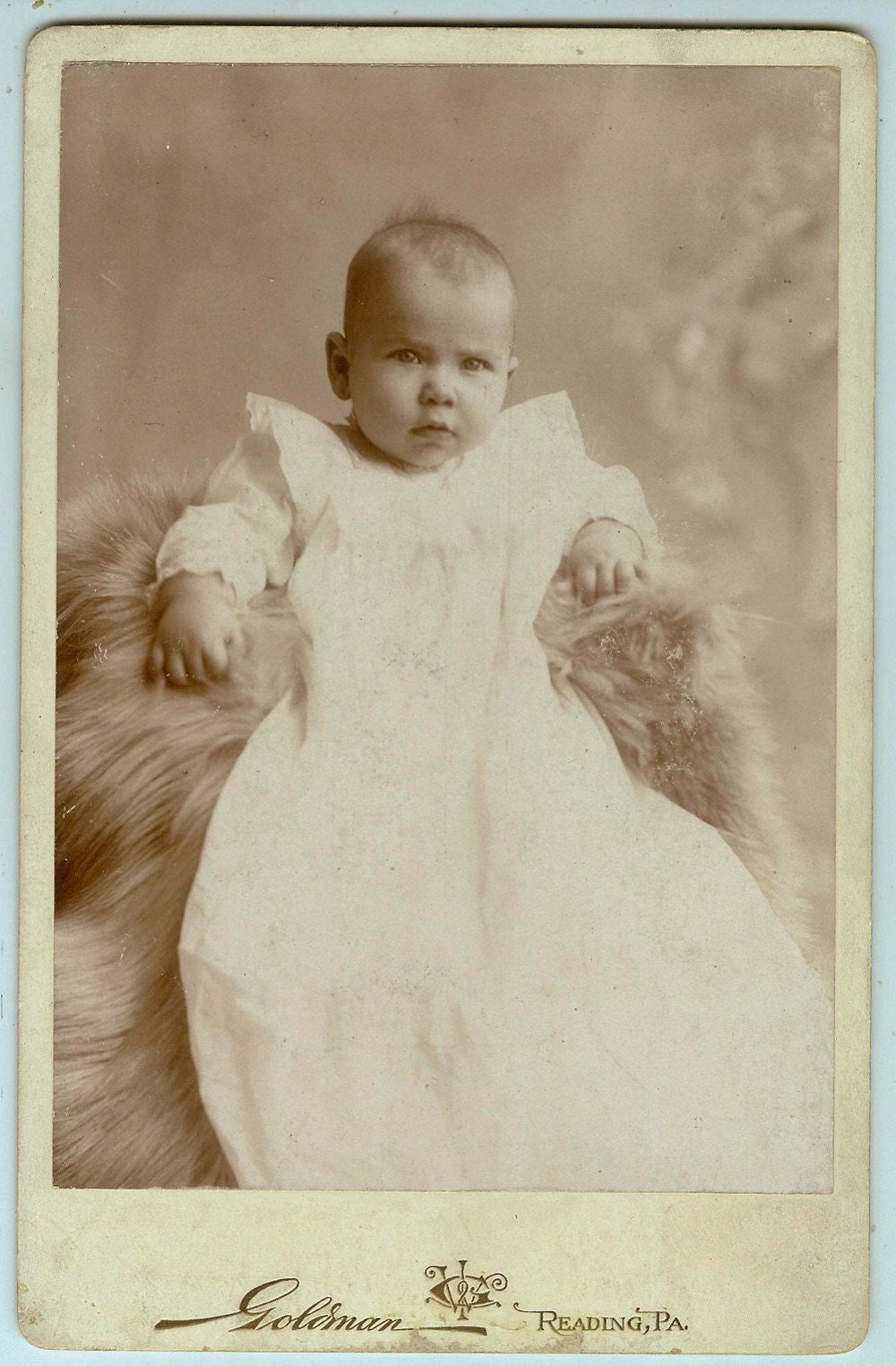 Antique cabinet photo BABY victorian Christening gown white laying on fur looking MAD