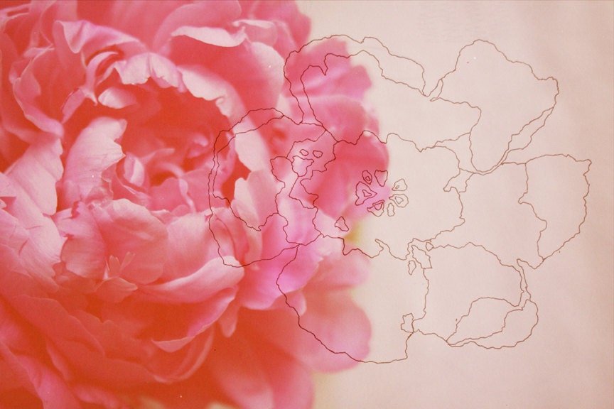 pink milk print 8x12