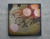 we must be over the rainbow photo encaustic 5x5