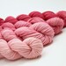 Spun Sugar Gradient: 4 balls of hand dyed polworth & silk yarn