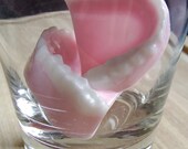 Are them my dentures - soap - THE ORIGINAL