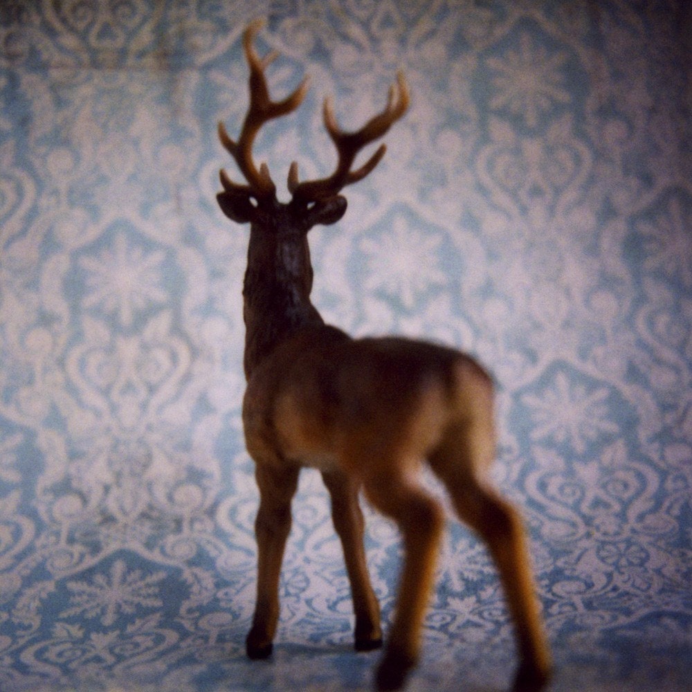 Reindeer, 6x6 print