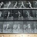MATURE Male Nudes Black and White Photo Illustrations for Your ARtwork Collage Pack 066