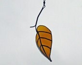 Little Elm Leaf from Anchor Steam Beer Bottle