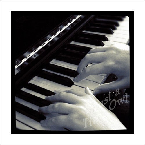 Playing Piano - 5x5 Metallic Photograph