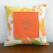 Tooth Fairy Pillow
