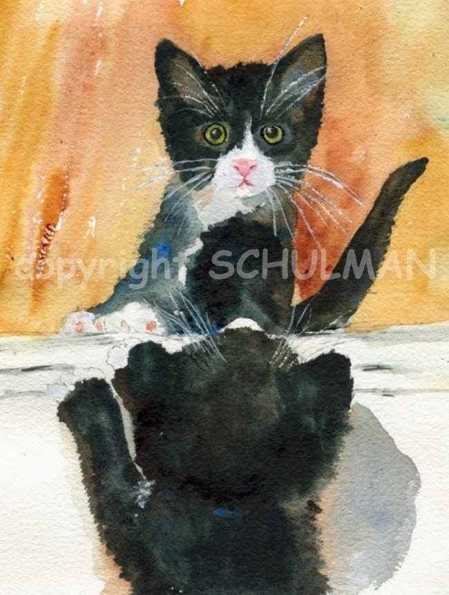 Cat Art, Fine art print Black and White Tuxedo kitten pets print black cat decor