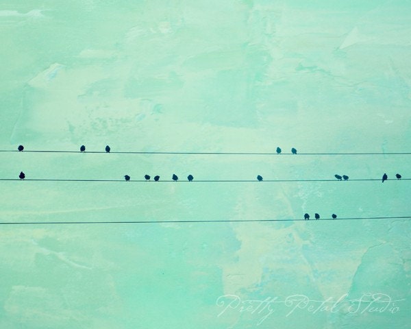 Birds on the Wire, Teal and Turquoise Tones, Textured Sky, Musical Melody, Wall Art, Abstract Photo . 8x10 Print