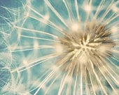 Floral Fine Art Photograph, Macro Print, Romantic Dandelion, Close Up, Tiffany Blue, Summer, Wishes, Shabby Chic Art, Square 8x8 Photo