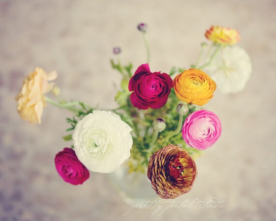 Fine Art Photograph, Multi Color Bouquet of Ranunculus Flowers, Shabby Chic Photo, Floral Art , Yellow, White, Pink, Red . 8x10 Print