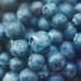 Fine Art Photograph, Blueberries, Blue Tones, Rustic Vintage Feel, Food Photo, Summer Fruit, Macro, Kitchen Art, Foodie, Square 8x8 Print
