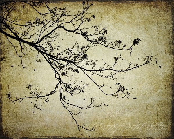 Silhouette Tree Branches, Woodland Photograph, Haunting, Golden Texture, Spindly, Autumn, Home Decor . 8x10 Print