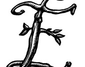 E Alphabet Print