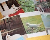 11  white kitten upcycled notecards handsewn vintage images