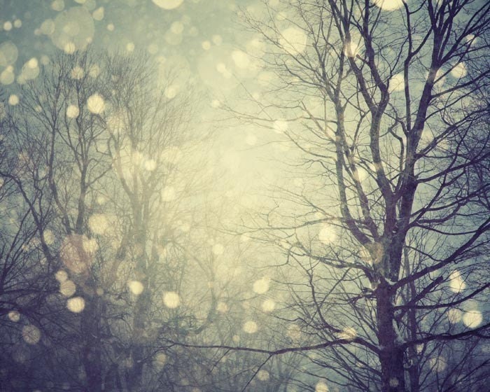 Tree photograph, Snow falling on trees in winter - A winter tale - Landscape photography, Wall Art