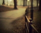 Central Park Fence in Fog, New York Photograph, Autumn, Fall, Night, Fine Art Photography, Black and Gold - Open Me Carefully - EyePoetryPhotography
