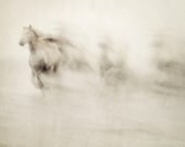 Nature photography, Abstract Horse Photograph, White Horses Running, Haunting, Halloween, Ethereal, Camargue - Ghosts Among Us