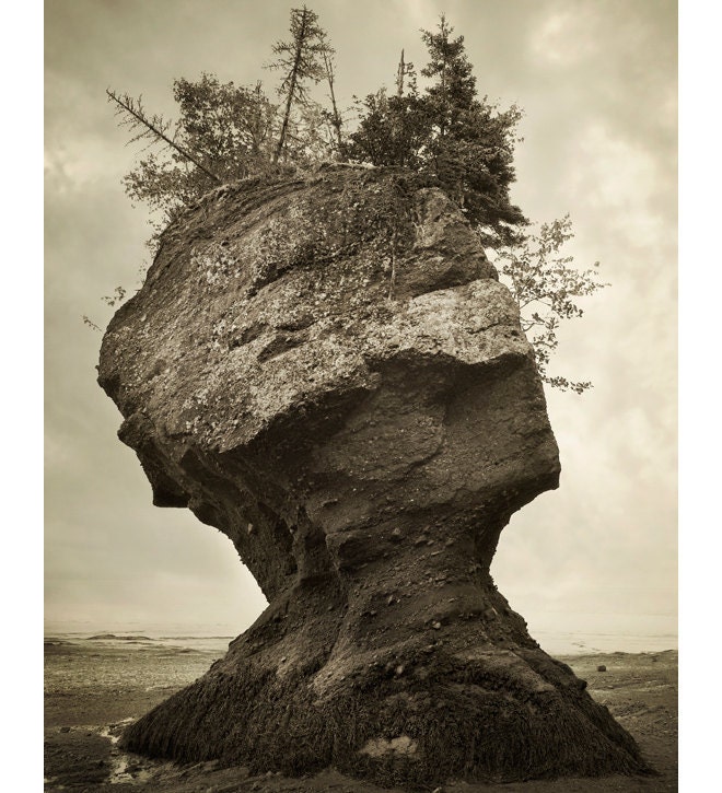 Surreal Landscape Photograph - Rocks, Trees, Face, Southwest, Sepia, Sea, Ocean - The Face of Nature
