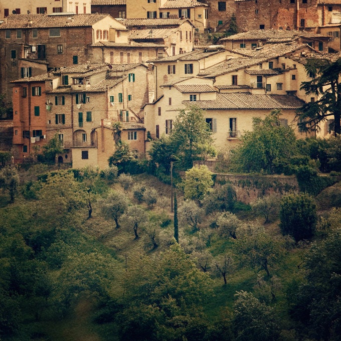 Siena Photograph, Italy, Tuscany, Travel Photography, Medieval Village, Rustic, Olive Trees, Home Decor - Town and Country