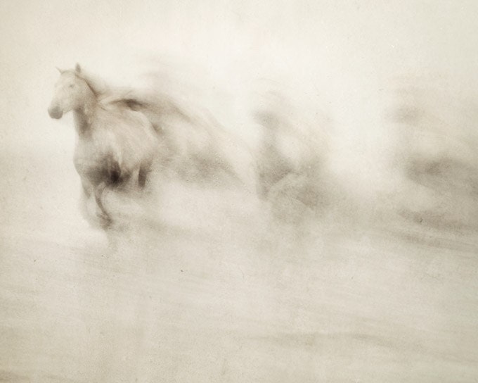 Nature photography, Abstract Horse Photograph, White Horses Running, Haunting, Halloween, Ethereal, Camargue - Ghosts Among Us
