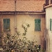 Italy Photo Set - Cinque Terre, Village, Town, Flowers, Lemons - The Simple Life - Two 5x5 Italy photographs