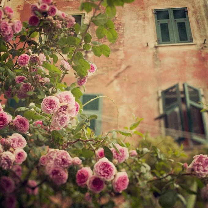 Italy Photo Set - Cinque Terre, Village, Town, Flowers, Lemons - The Simple Life - Two 5x5 Italy photographs
