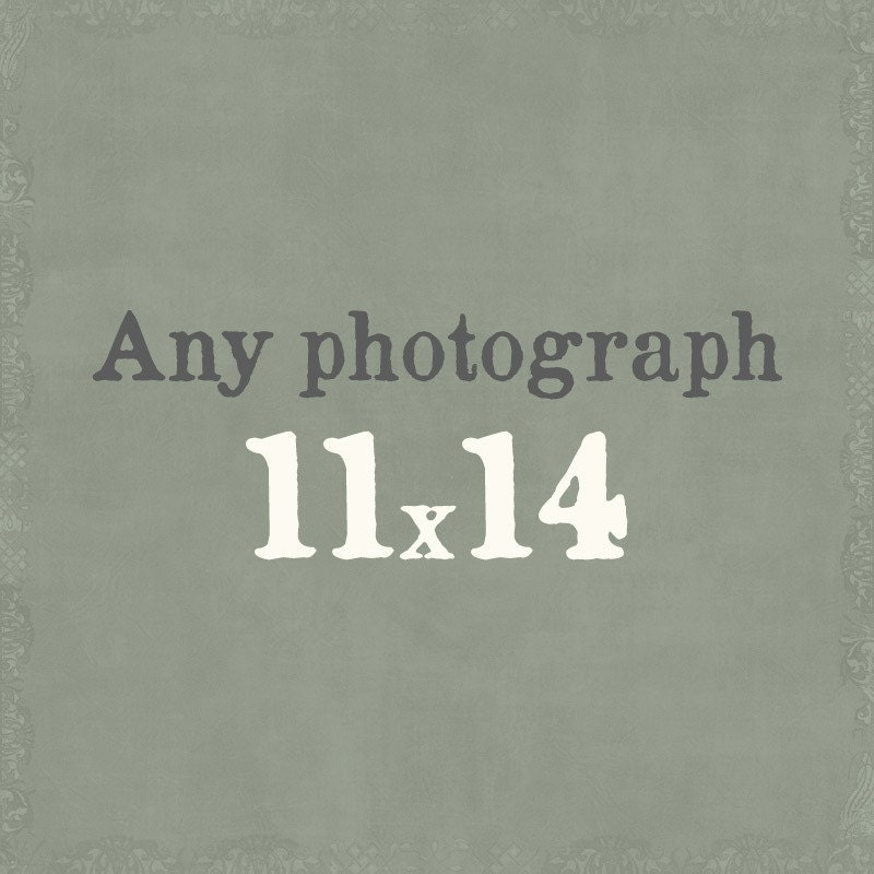Any 11x14 print