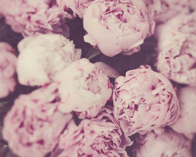 Purple Peonies Print, Flower Photography, Mother's Day, Botanical, Romantic Home Decor, Shabby Chic Wall Art, Feminine - Persuasion