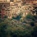 Siena Photograph, Italy, Tuscany, Travel Photography, Medieval Village, Rustic, Olive Trees, Home Decor - Town and Country
