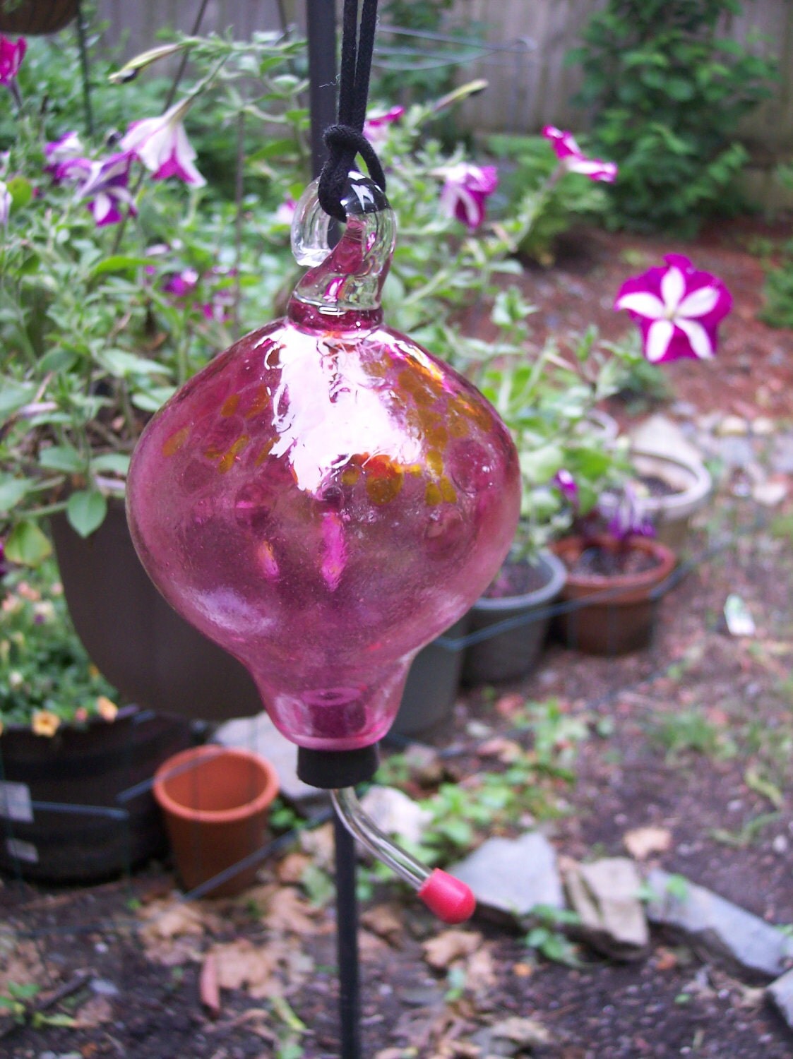 Hand Blown Art Glass Hummingbird Feeder by Rebecca Zhukov