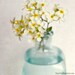 Flower Art Print - Flower Photo - Floral Photography Print - Shabby Chic Wall Art - Home Decor - "Yellow Rock Cress"