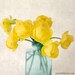 SALE - 7x7 Print - "Yellow Globeflower" Fine Art Photography Print - Home Decor - Wall Art - Under 25