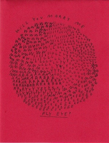 Will You Marry Me Fly Eye