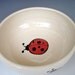 SALE ITEM - Lady Bug Bowl