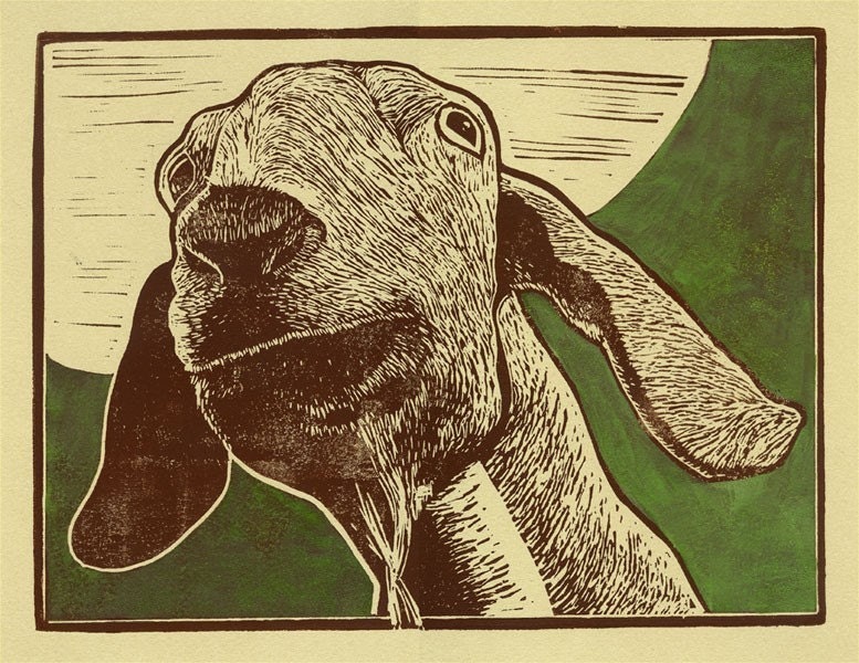 Goat Print