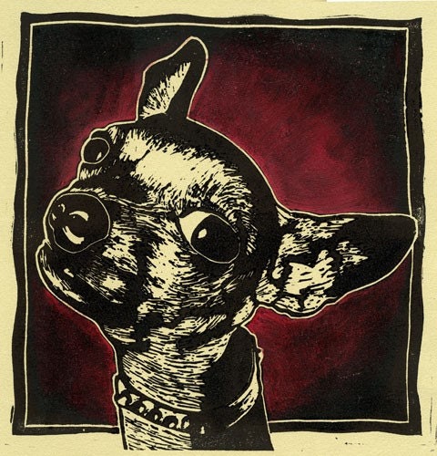 Chihuahua Print