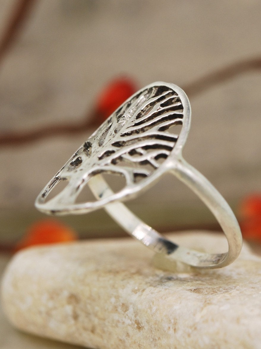 Branch Tree Ring