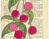 Summer Cherries - Original Painting on Antique Book Paper (Blossom)
