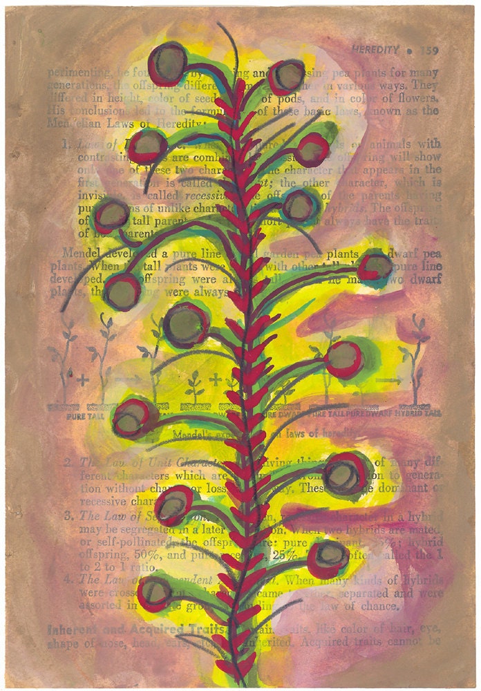 Bottlebrush - Original Gouache Painting on Antique Book Paper